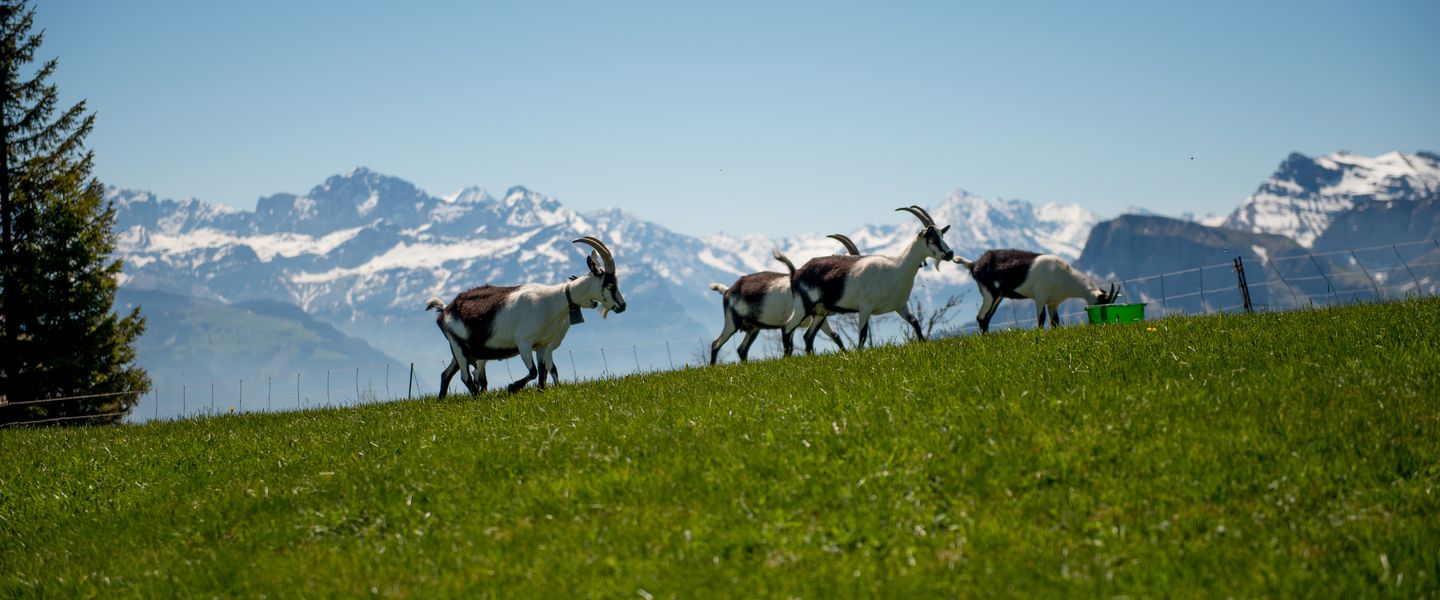 @ Touristik Partner Service 