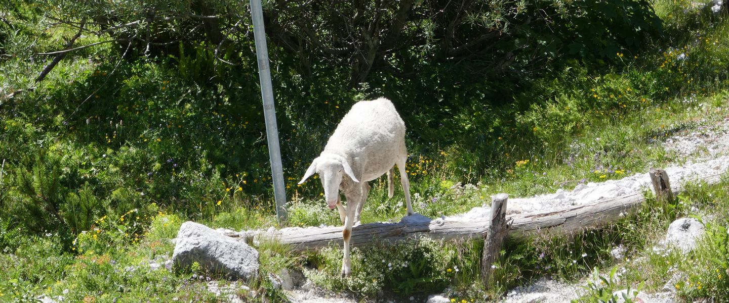 @ Touristik Partner Service 