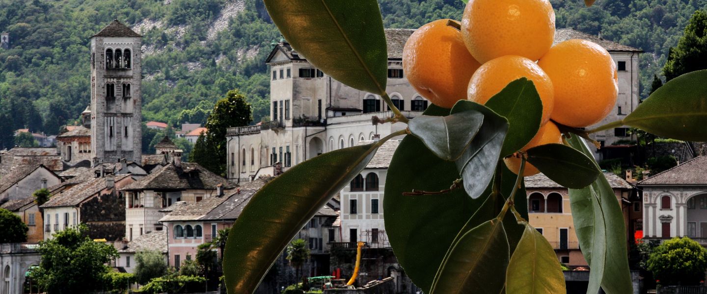 @ Touristik Partner Service @ Touristik Partner Service 